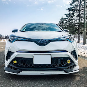 C-HR NGX50