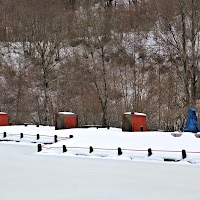 rimandiamo a primavera di 