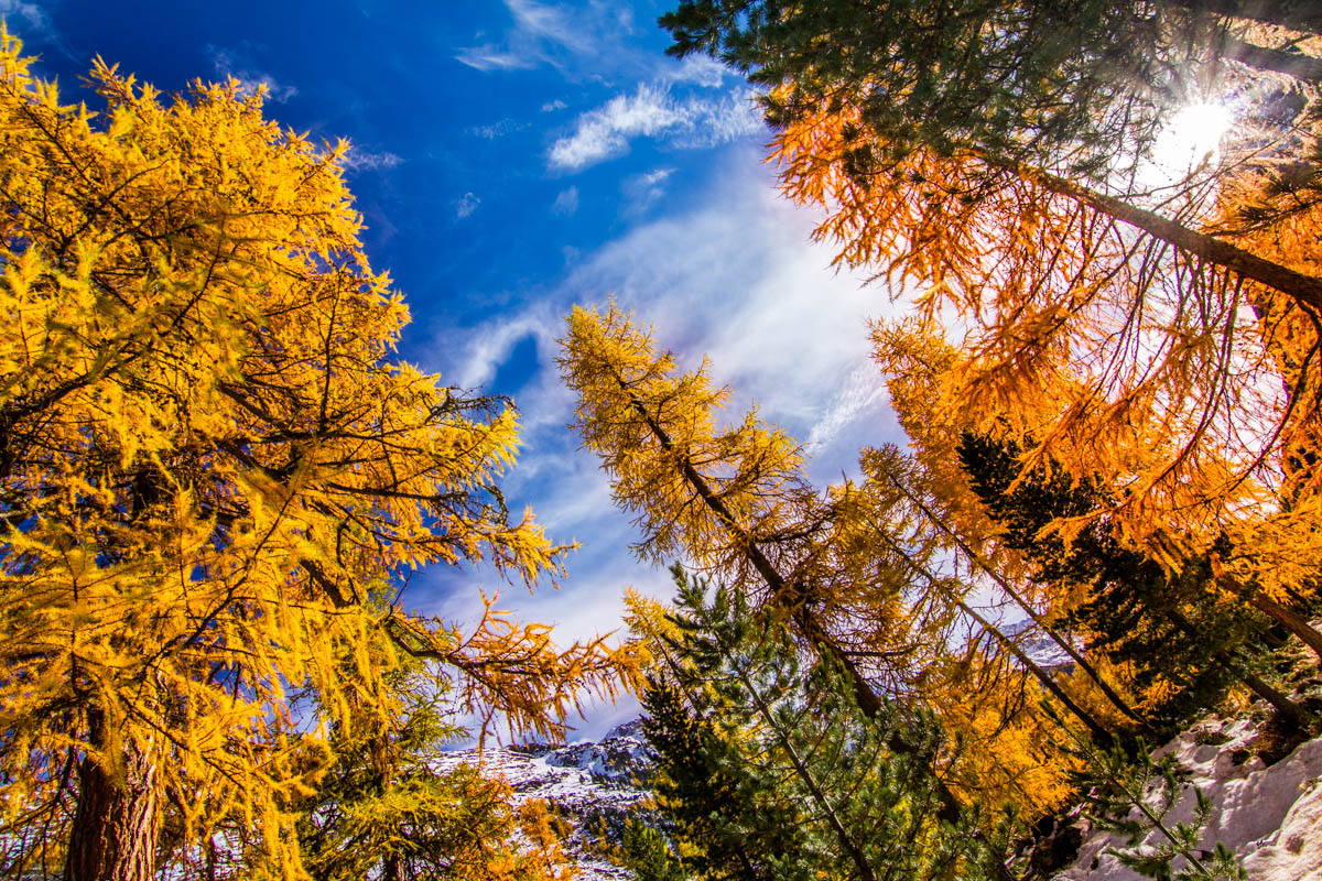 Swiss autumn di fedevphoto