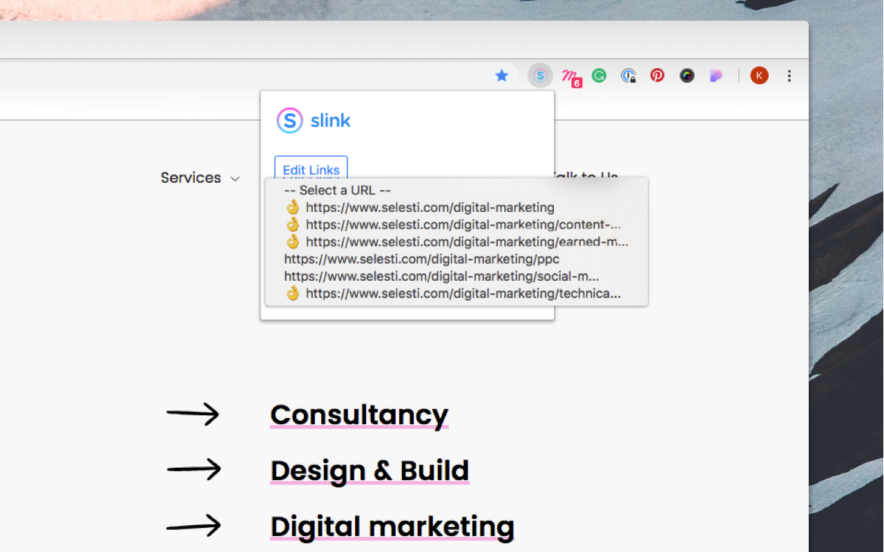 Slink Preview image 4