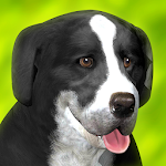 Cover Image of Baixar Corrida de cães 1.1.2 APK