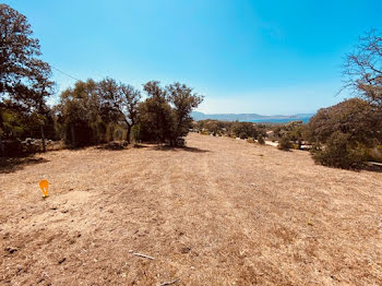 terrain à batir à Lumio (2B)