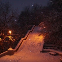 Un sentiero luccica di neve cristallina. di 