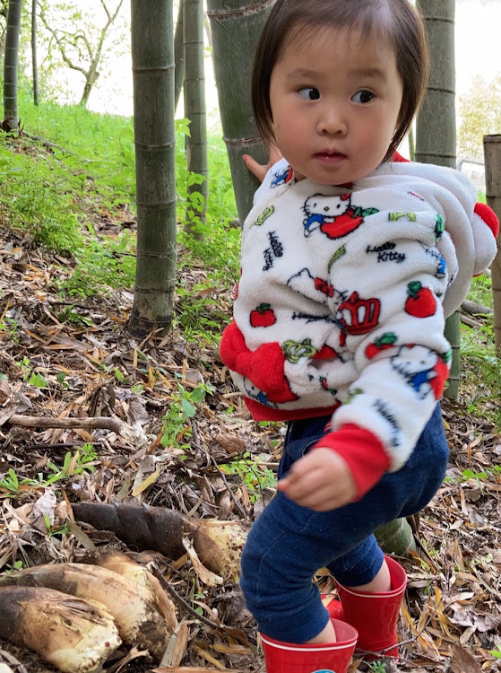 フェアレディZの竹の子狩りに関するカスタム事例の投稿画像4枚目