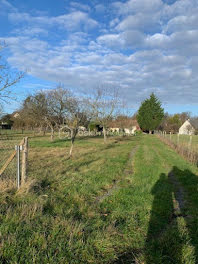 terrain à Nouzilly (37)