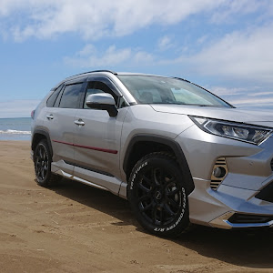 RAV4 MXAA54