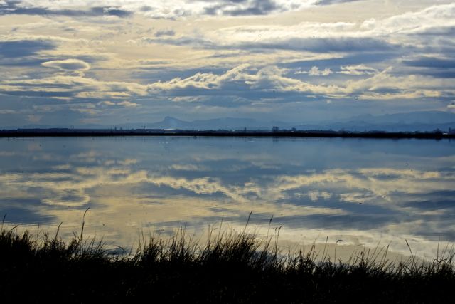 Cervia, Le saline di Ltz/rivadestra