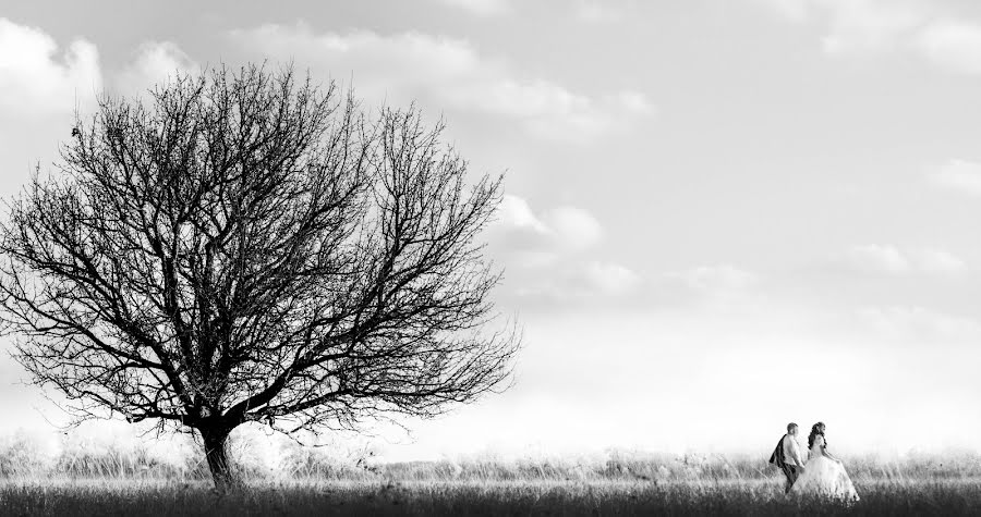 Bryllupsfotograf Kocsis Tamás (kocsistamas). Bilde av 3 mai 2017