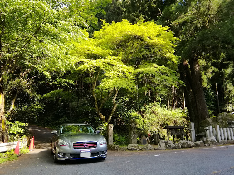 フーガの破れ不動磨崖仏・奈良県桜井市八井内地区・不動明王・談山が璢鳴動した時に破裂したに関するカスタム事例の投稿画像9枚目