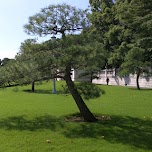 akasaka palace in Tokyo, Japan 