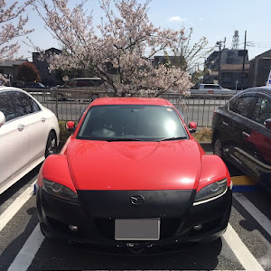 RX-8 SE3P