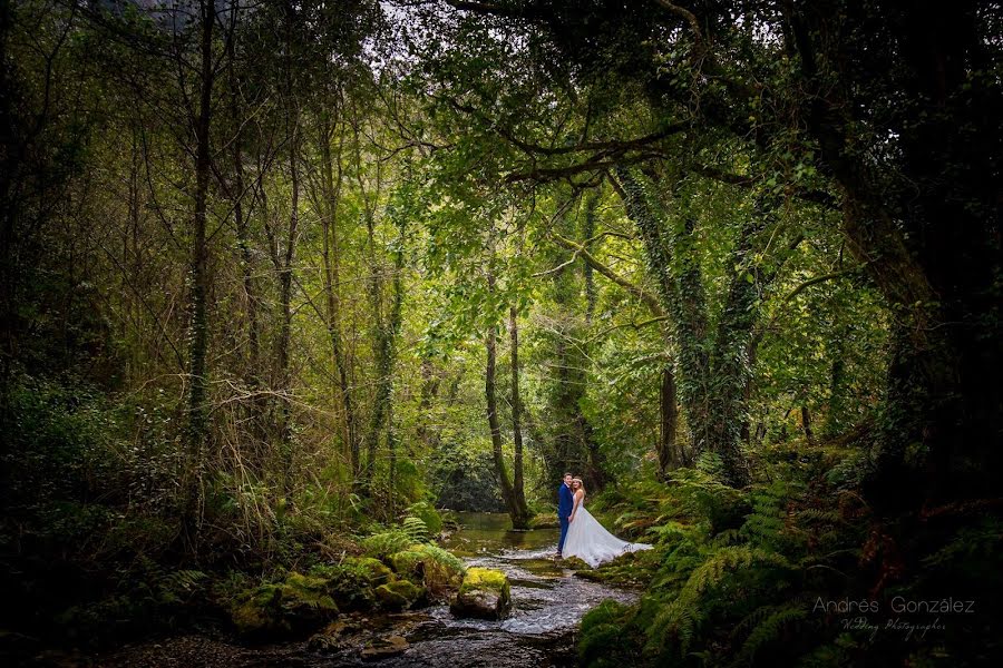 Fotógrafo de casamento Andrés Gonzalez (andresgonzalez). Foto de 22 de maio 2019