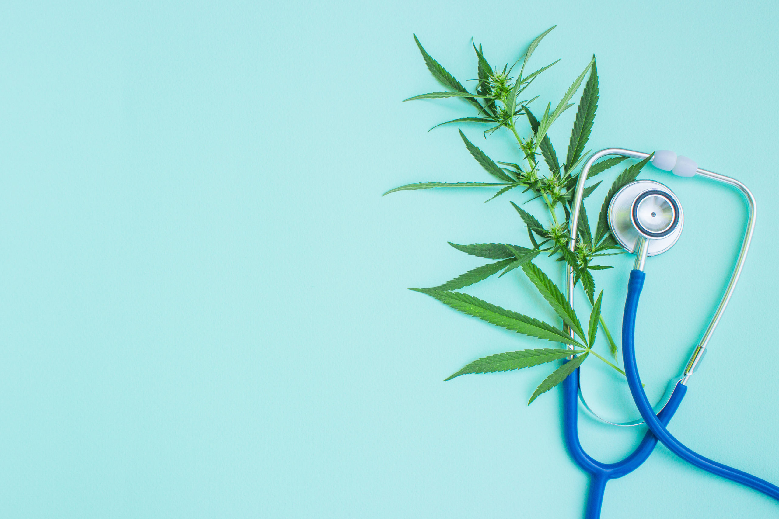 Why Medical Marijuanas Should Be Legal