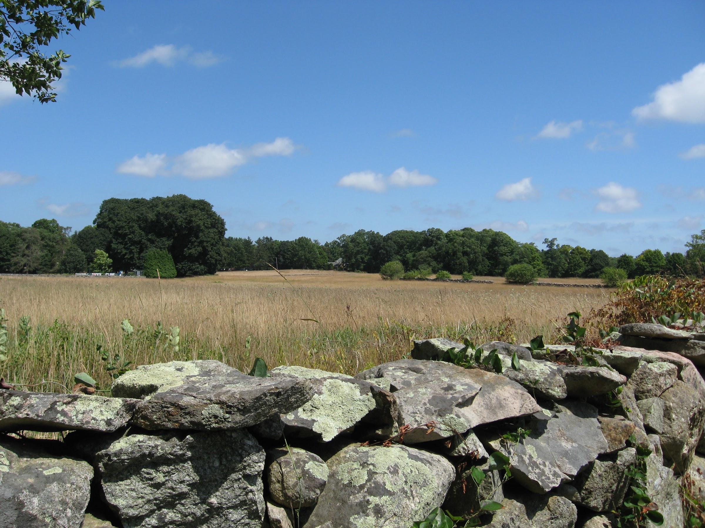 east over reservation field