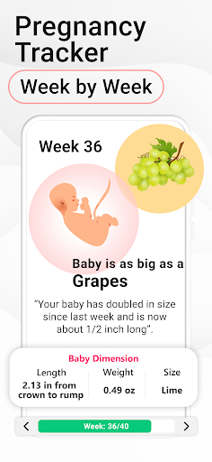 Screenshot Pregnancy Calculator: Due Date