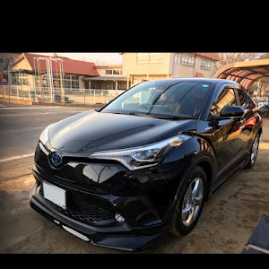 C-HR ZYX10