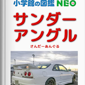 スカイライン GT-R R33