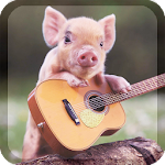 Little Pig Live Wallpaper Apk