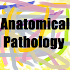 Basic Anatomical Pathology1.0