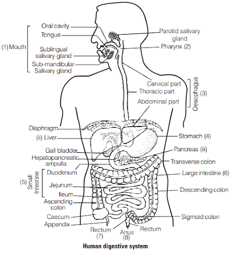 Solution Image