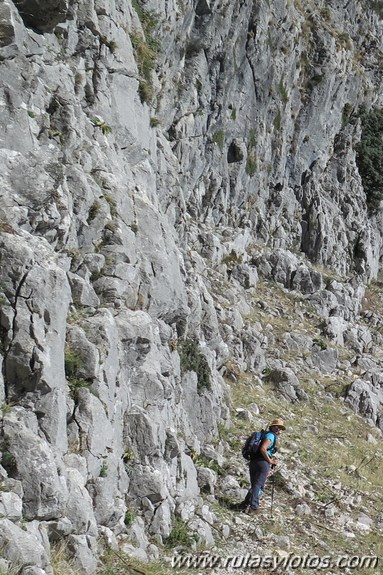 Pared de Fardelejas