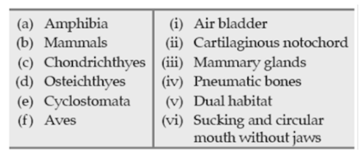 Important terms and classification of animals