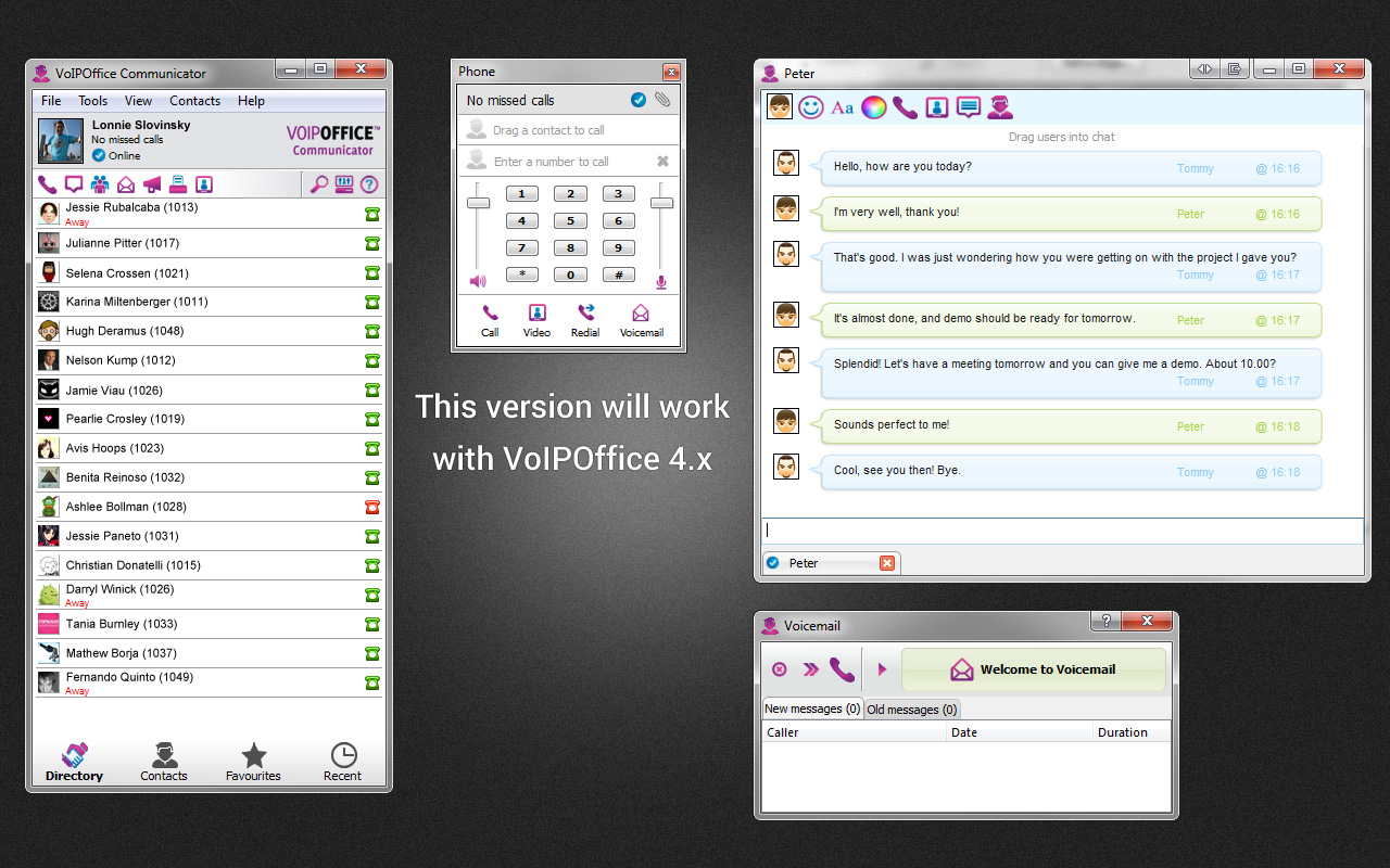 VoIPOffice Communicator Extension 4.x Preview image 3