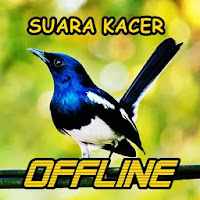 Suara Burung Kacer Lengkap MP3 Offline