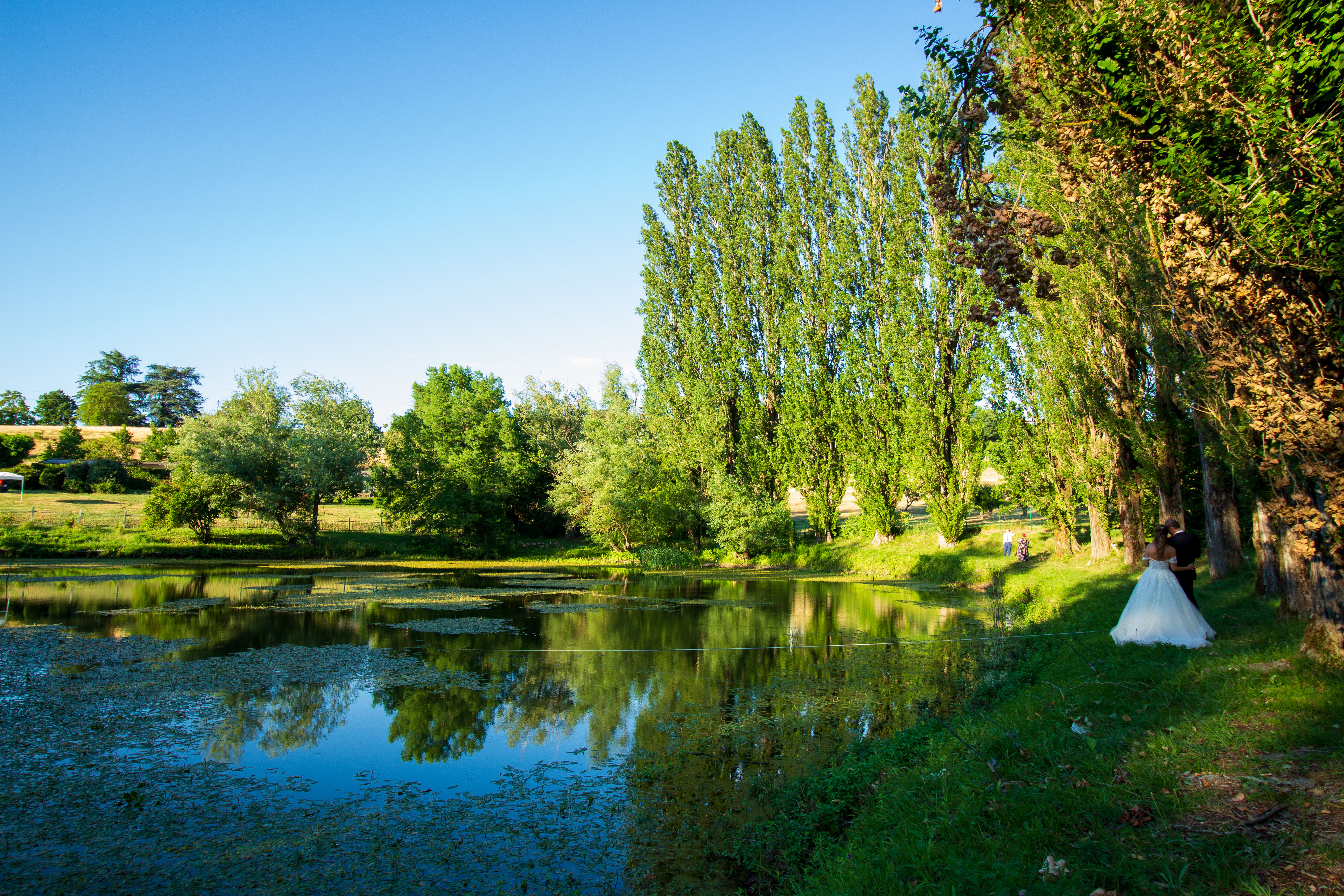 Riflessi sul lago di Ilaria Siddi