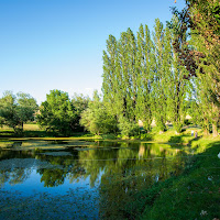 Riflessi sul lago di Ilaria Siddi