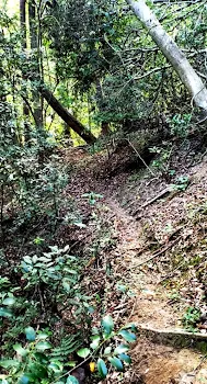 田舎の謂れ