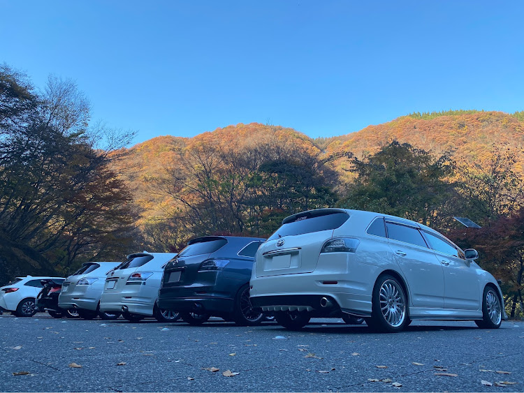 マークXジオのめがね橋・群馬・ENDLESS・endless cafe・オフ会に関するカスタム事例の投稿画像2枚目