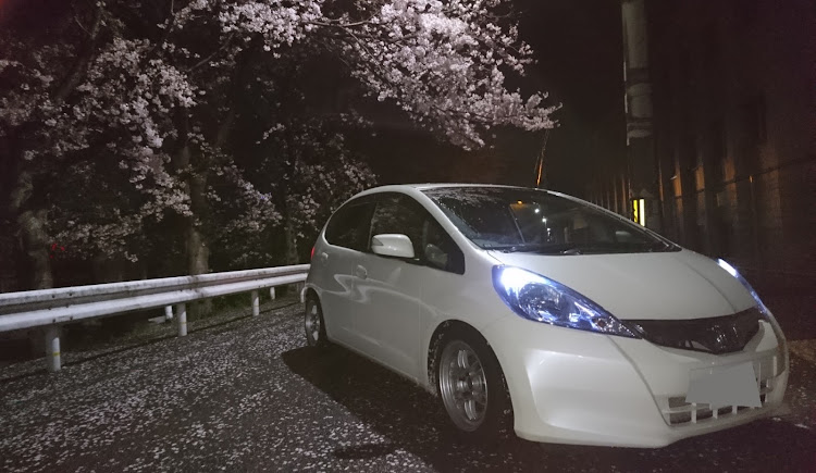 フィットの真夜中桜・桜とコラボに関するカスタム事例の投稿画像3枚目