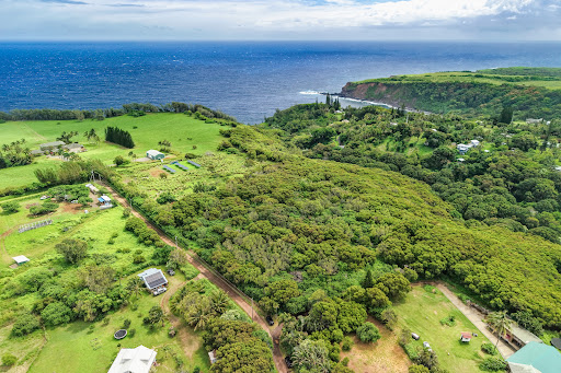 Land purchase in Haiku-Pauwela (United States) - Lush coastal landscape with blue ocean