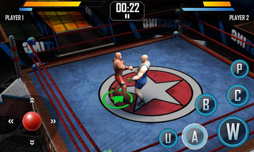 Real Wrestling 3D (Mod Money)