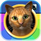 InstaKitty 3D-Virtual Cat Sim 2.0.7