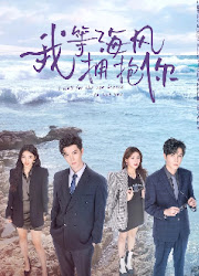 I Wait for the Sea Breeze to Hug You China Web Drama