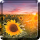 Download Sunflower Live Wallpaper HD For PC Windows and Mac 1.0