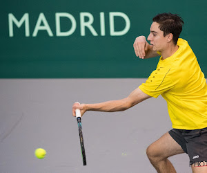 Joran Vliegen stoot op Roland Garros door in gemengd dubbel