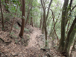 踏み跡を追う