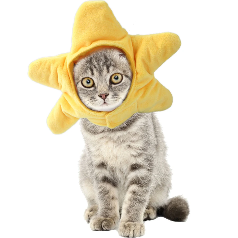Chapeau amusant pour animaux de compagnie aux cheveux bouclés. Déguisement de chat drôle pour un look original. Accessoires pour animaux originaux.