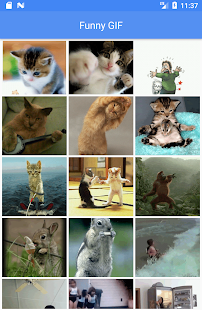 How to download Best Funny GIF Collection lastet apk for pc