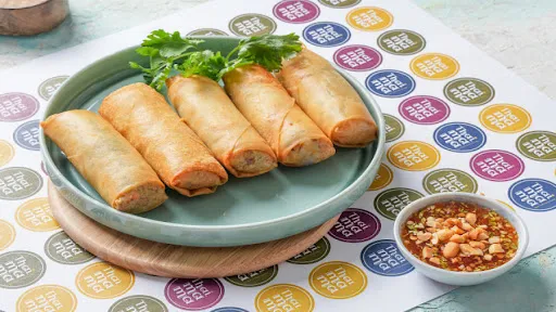 Veg Chowmein Spring Rolls