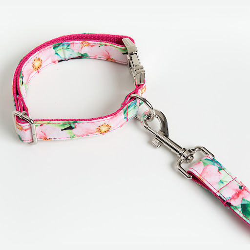 Title 7, Amazon Dog Collar and Leash Pattern Set – Durab...