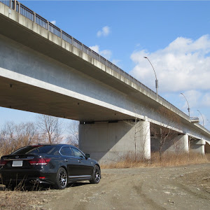 LS UVF45