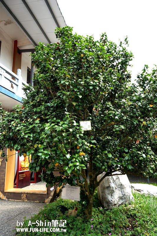 清水岩寺16