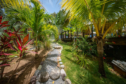 House with pool and garden 3