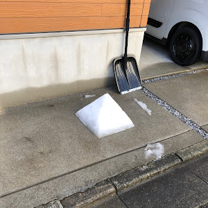 フリード