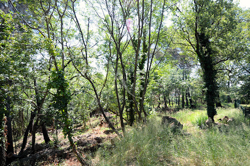 Land 2