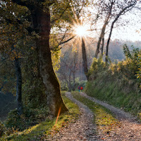 A spasso con la natura di 